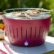 Camping, Festival & Beach