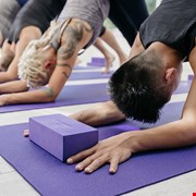 Fitness, Wellbeing and Lifestyle